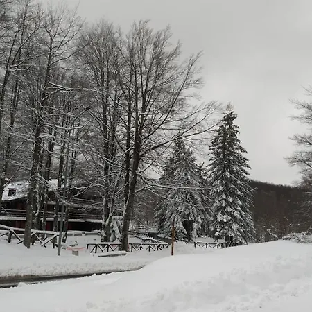 Casa Nel Bosco * Livata