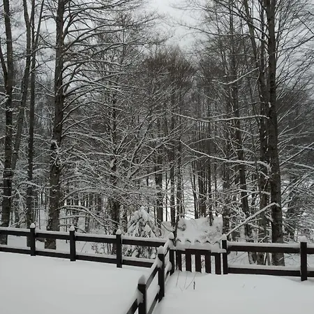 Casa Nel Bosco Livata