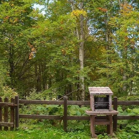Casa Nel Bosco Apartmán Livata