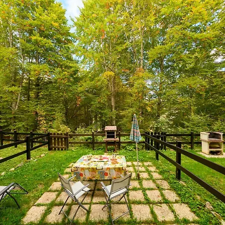Casa Nel Bosco Livata